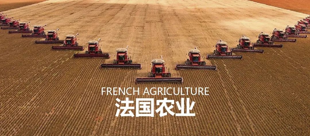 法国农业：欧盟农业大国，靠这6大战略制胜市场