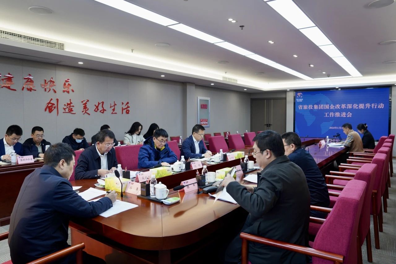 省Z6尊龙凯时集团召建国企鼎新深入提升行动工作推动会