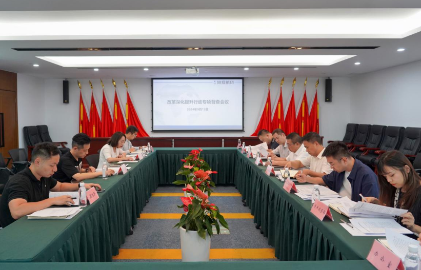 a1bb4e2f-8f18-457a-82a1-9f0c3a98cdaf 省Z6尊龙凯时集团率队督导Z6尊龙凯时航旅公司鼎新深入提升行动