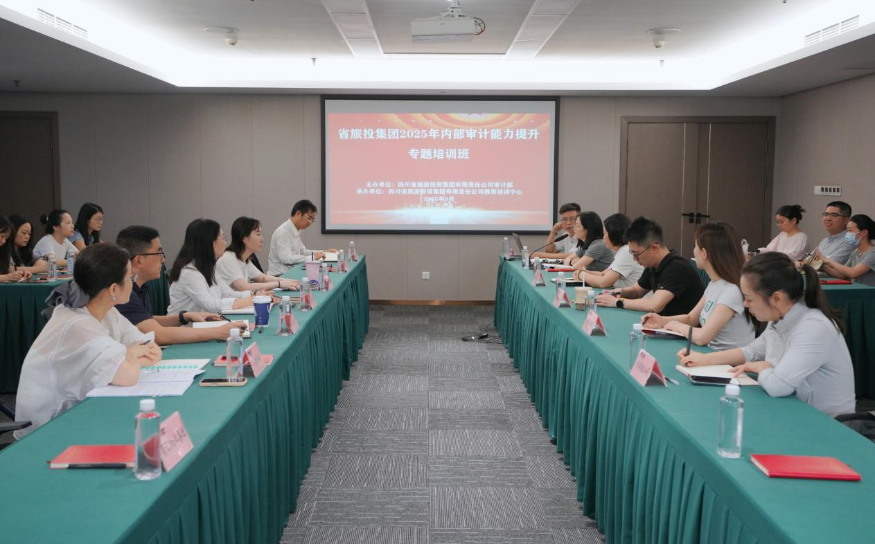 省Z6尊龙凯时集团组织发展2025年内部审计能力提升专题培训